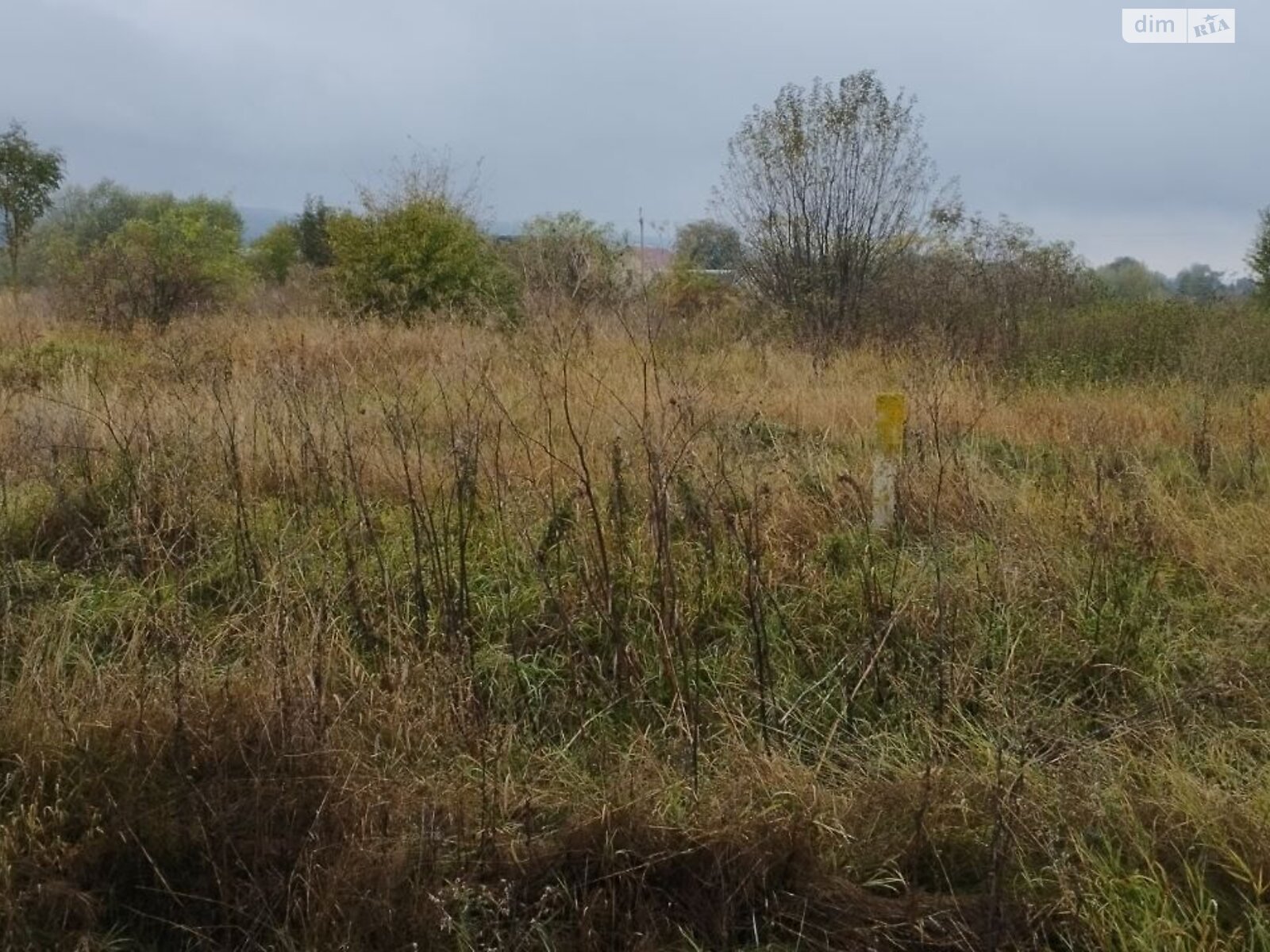 Аренда земли сельскохозяйственного назначения в Ропче, цена: 4 576 грн за объект фото 1 Аренда земли сельскохозяйственного назначения в Ропче, цена: 4 576 грн за объект фото 1