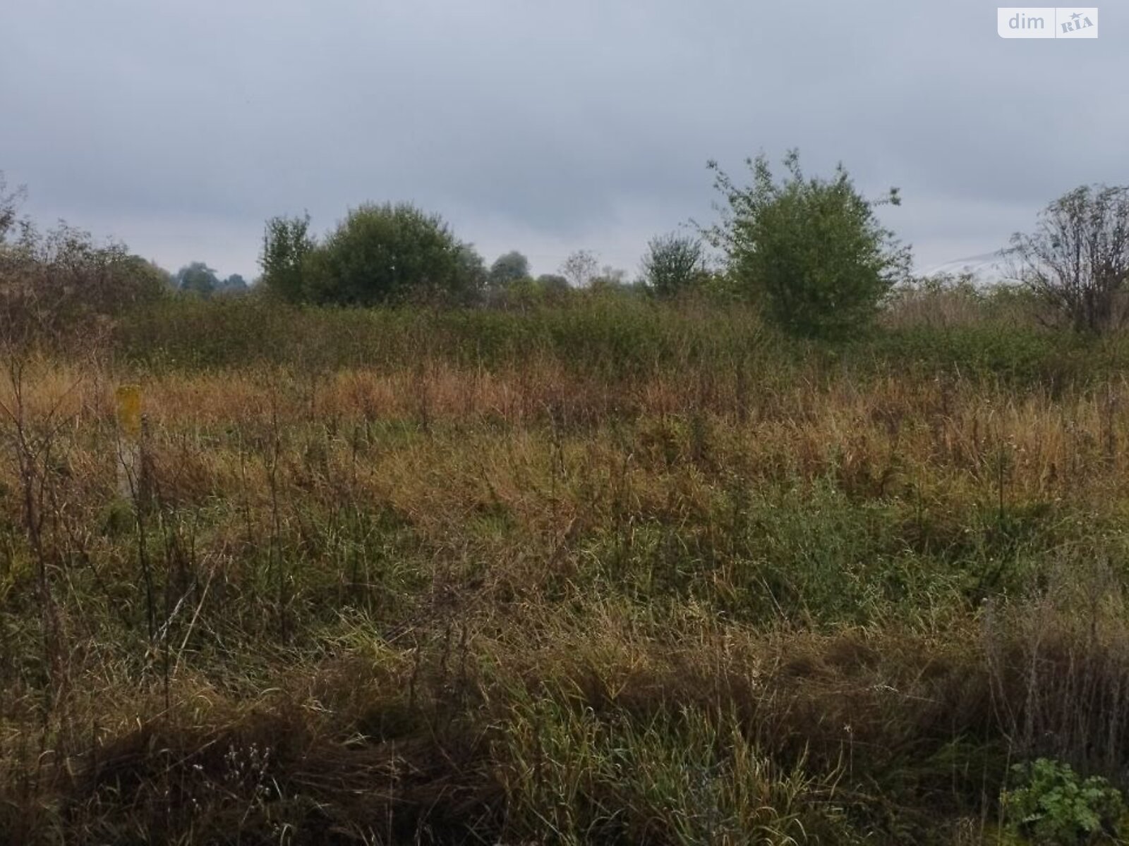 Аренда земли сельскохозяйственного назначения в Ропче, цена: 4 576 грн за объект фото 1 Аренда земли сельскохозяйственного назначения в Ропче, цена: 4 576 грн за объект фото 1