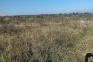 Оренда землі сільськогосподарського призначення в Рункошові, ціна: 39 343 грн за об’єкт фото 2 Оренда землі сільськогосподарського призначення в Рункошові, ціна: 39 343 грн за об’єкт фото 2