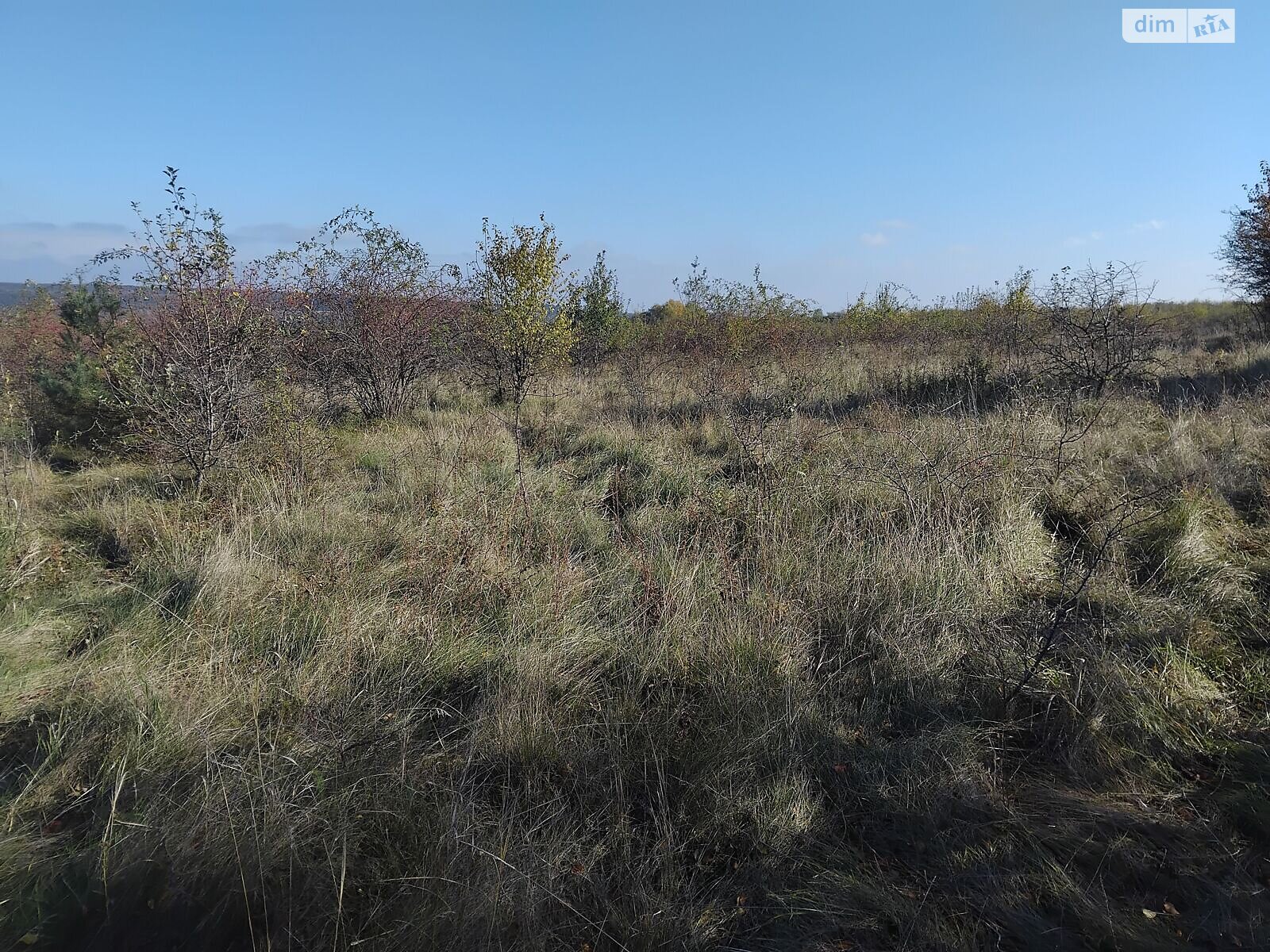 Оренда землі сільськогосподарського призначення в Рункошові, ціна: 39 343 грн за об’єкт фото 1