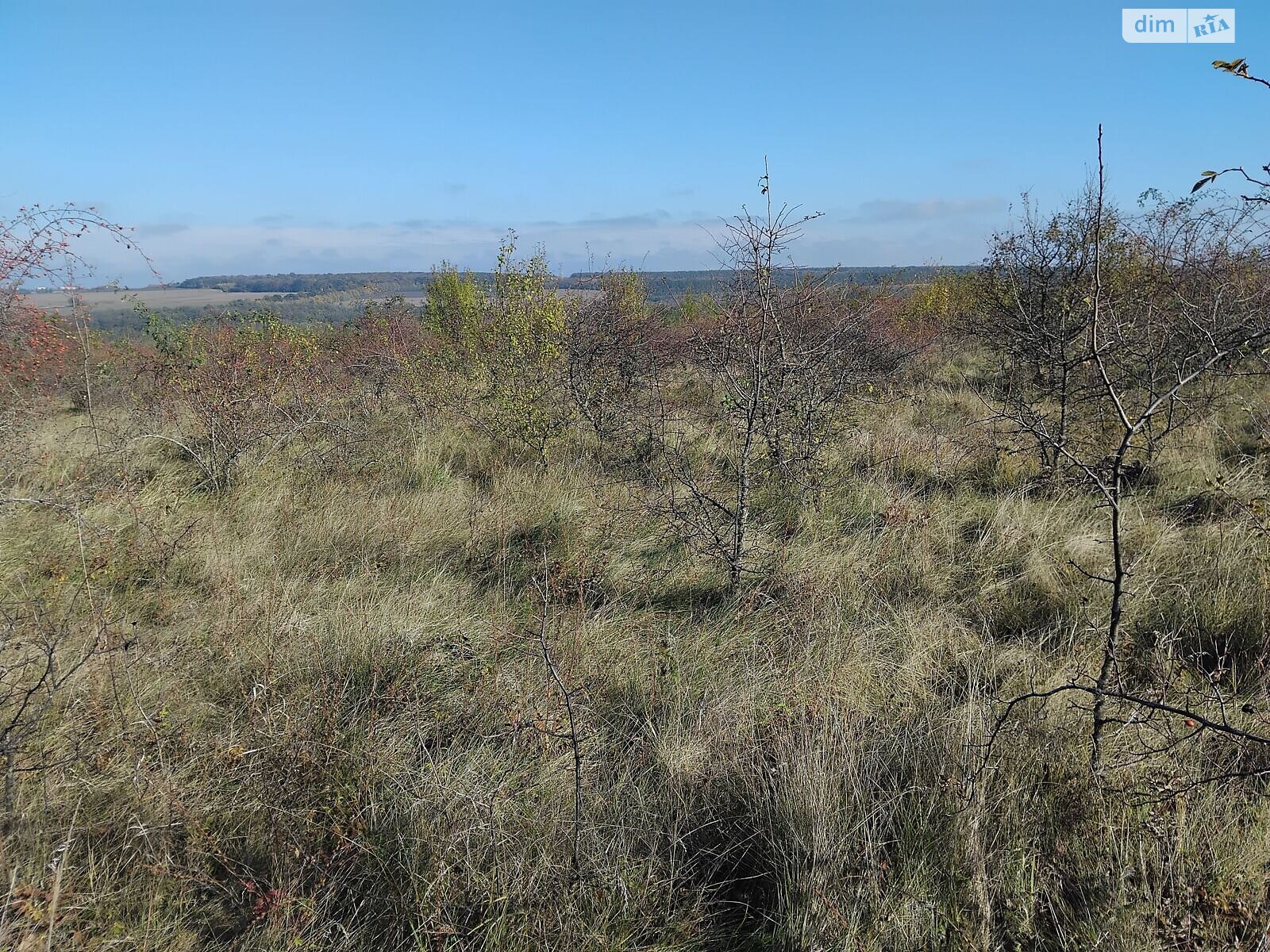 Оренда землі сільськогосподарського призначення в Рункошові, ціна: 39 343 грн за об’єкт фото 1