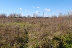 Аренда земли сельскохозяйственного назначения в Сальнице, цена: 25 817 грн за объект фото 1