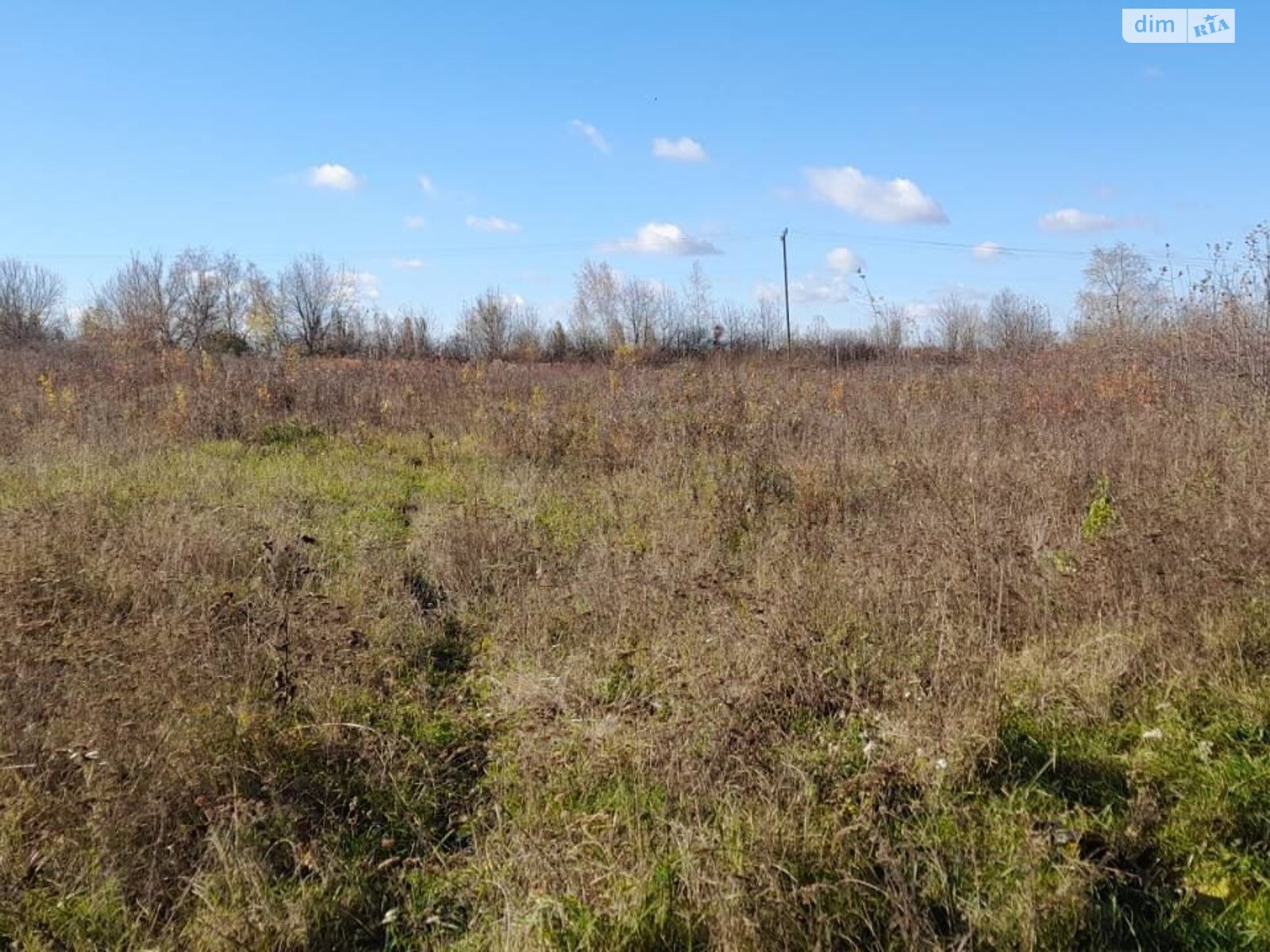 Аренда земли сельскохозяйственного назначения в Сальнице, цена: 25 817 грн за объект фото 1