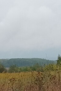 Аренда земли сельскохозяйственного назначения в Сельце, цена: 948 грн за объект фото 1