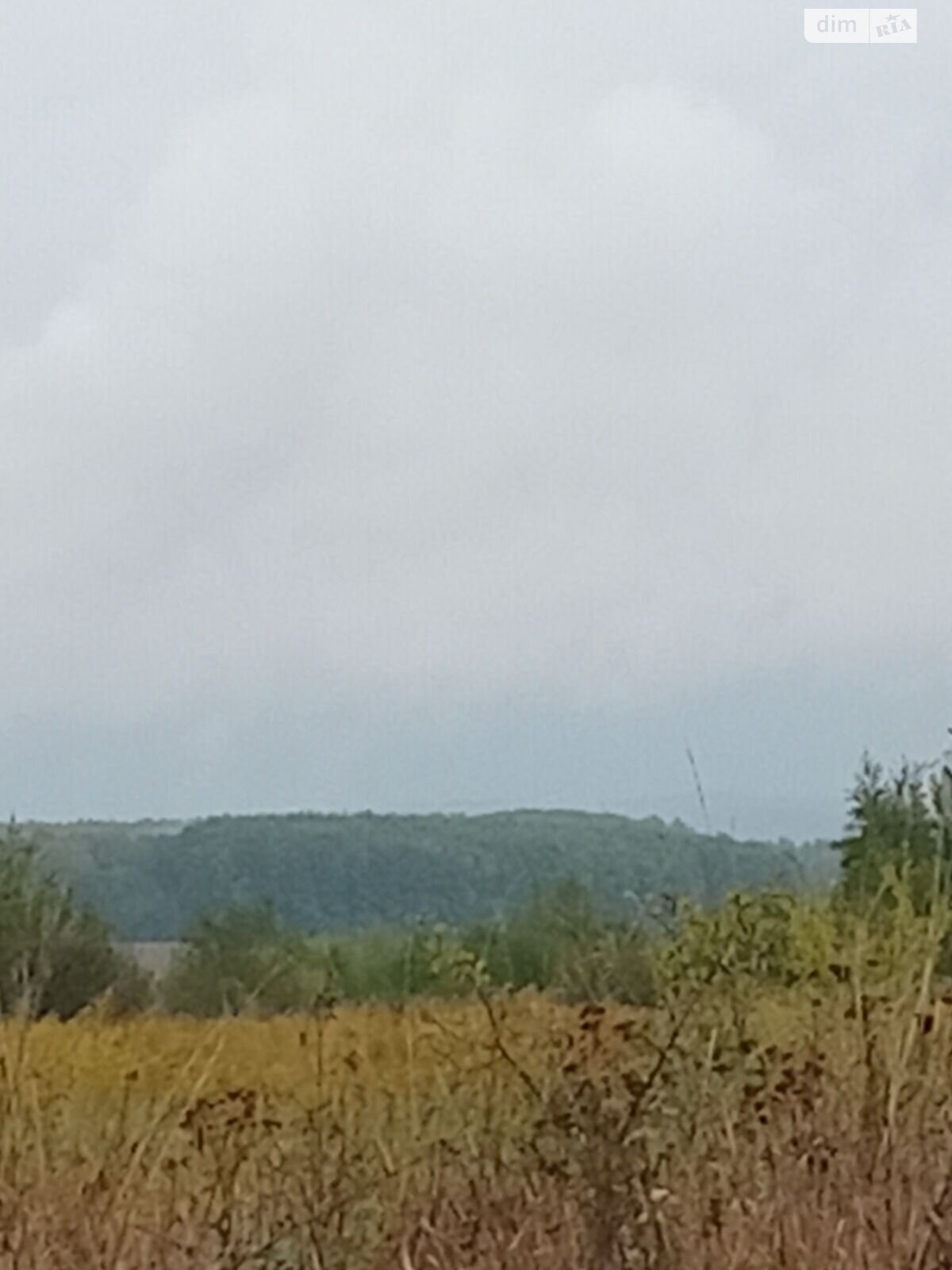 Аренда земли сельскохозяйственного назначения в Сельце, цена: 948 грн за объект фото 1