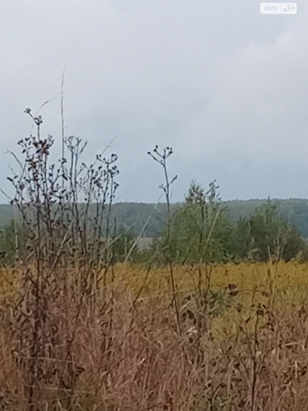 Аренда земли сельскохозяйственного назначения в Сельце, цена: 948 грн за объект фото 1