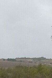 Аренда земли сельскохозяйственного назначения в Сельце, цена: 561 грн за объект фото 1