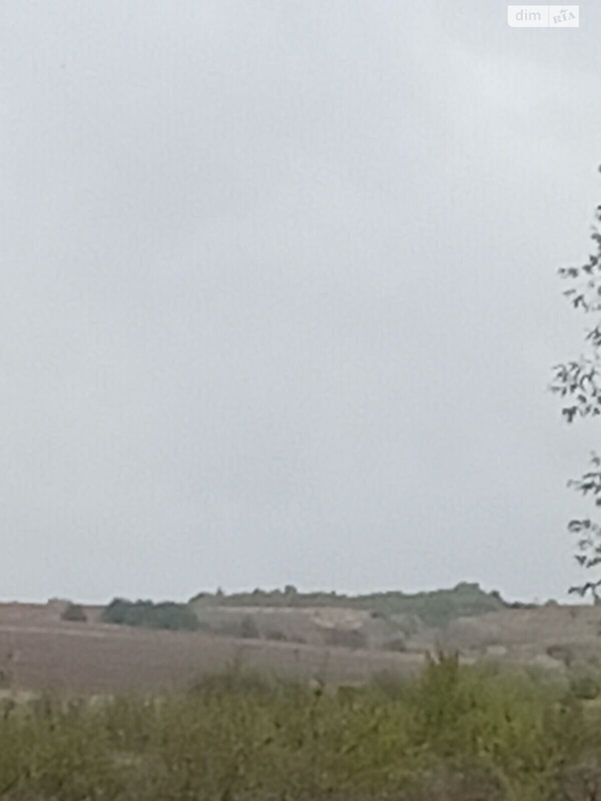 Аренда земли сельскохозяйственного назначения в Сельце, цена: 561 грн за объект фото 1