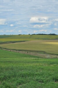 Оренда землі сільськогосподарського призначення в Семенівці, ціна: 3 758 грн за об’єкт фото 1 Оренда землі сільськогосподарського призначення в Семенівці, ціна: 3 758 грн за об’єкт фото 1