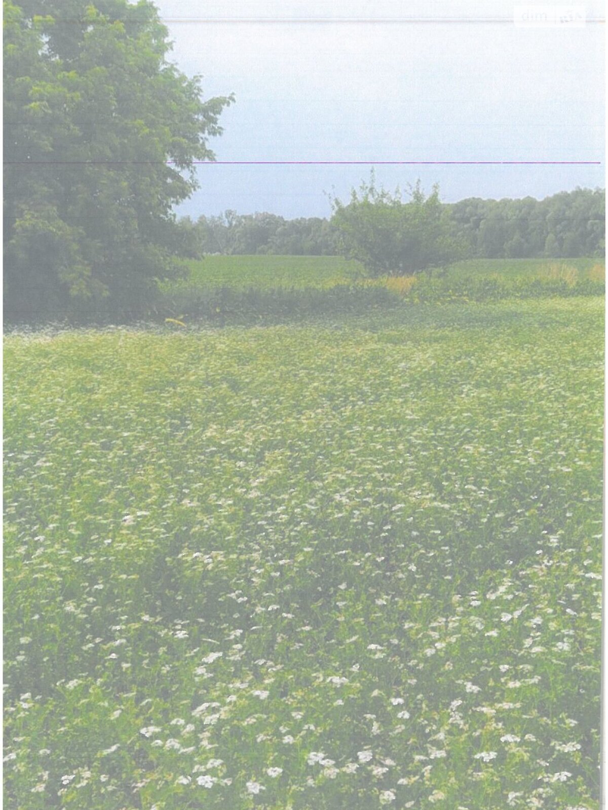 Оренда землі сільськогосподарського призначення в Семенівці, ціна: 20 160 грн за об’єкт фото 1