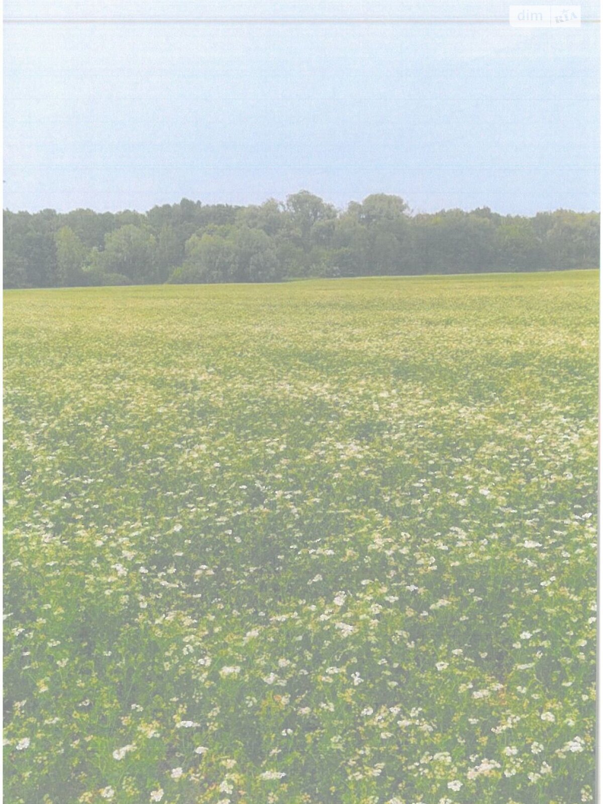 Оренда землі сільськогосподарського призначення в Семенівці, ціна: 20 160 грн за об’єкт фото 1