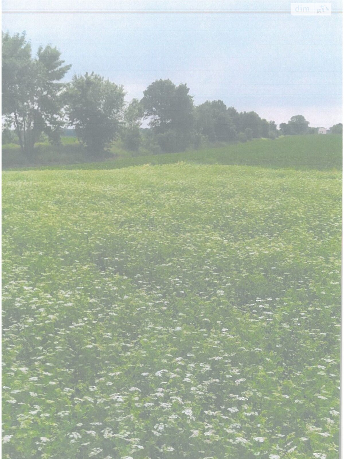 Оренда землі сільськогосподарського призначення в Семенівці, ціна: 20 160 грн за об’єкт фото 1