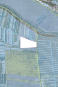 Аренда земли сельскохозяйственного назначения в Серетце, цена: 19 508 грн за объект фото 1