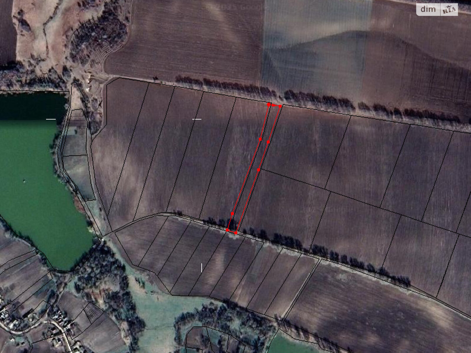 Аренда земли сельскохозяйственного назначения в Шабастовке, цена: 4 842 грн за объект фото 1 Аренда земли сельскохозяйственного назначения в Шабастовке, цена: 4 842 грн за объект фото 1