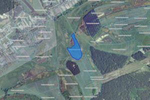 Аренда земли сельскохозяйственного назначения в Шабельниках, цена: 10 853 грн за объект фото 1 Аренда земли сельскохозяйственного назначения в Шабельниках, цена: 10 853 грн за объект фото 1