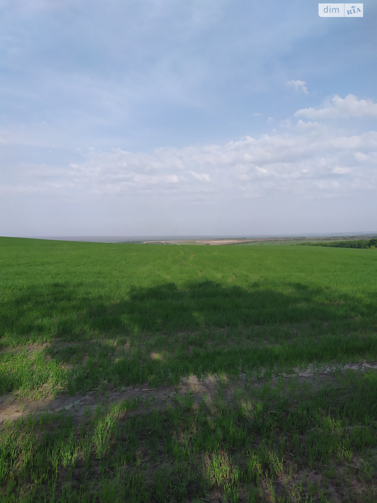 Аренда земли сельскохозяйственного назначения в Шестерне, цена: 2 000 грн за объект фото 1