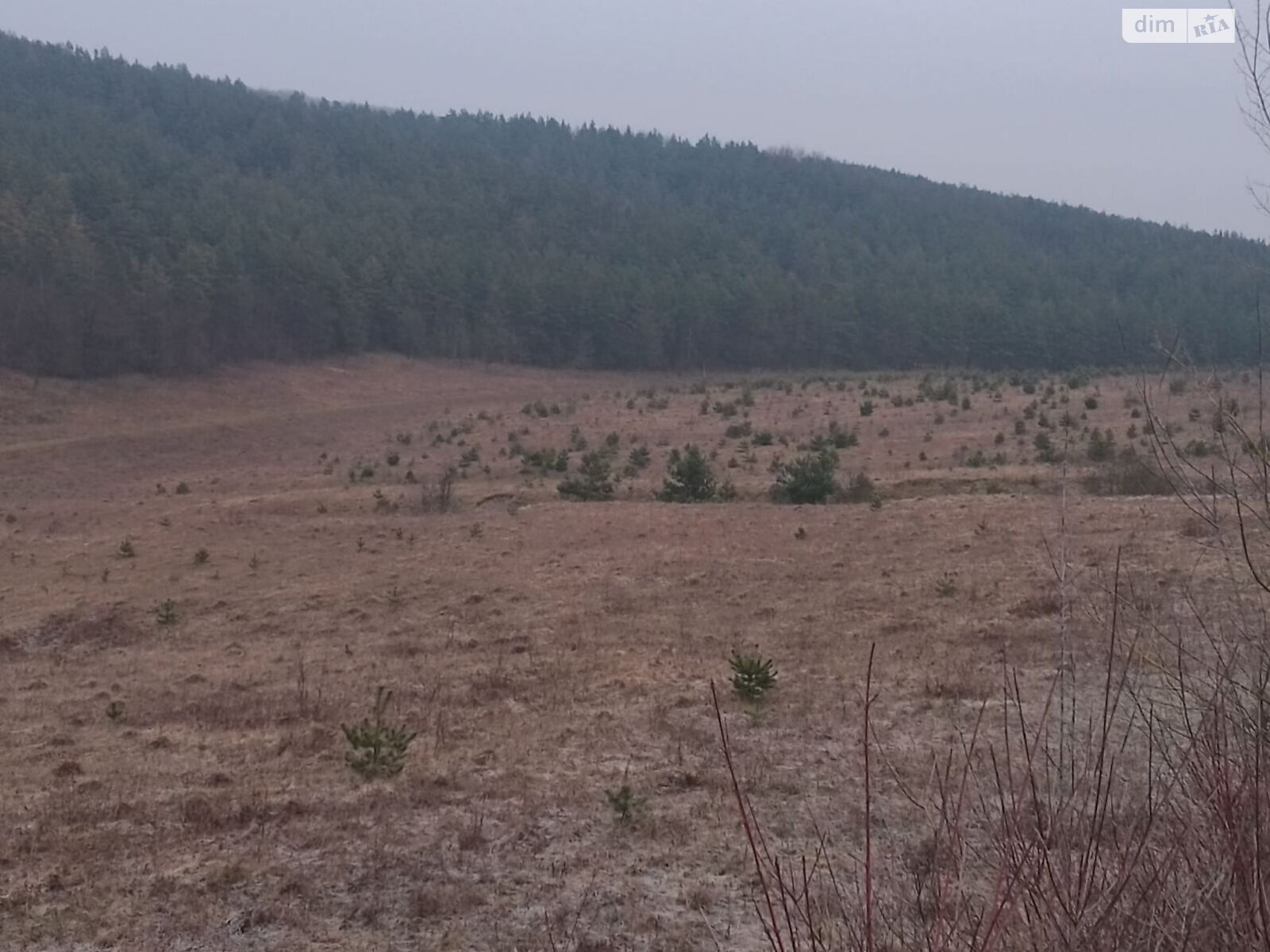 Оренда землі сільськогосподарського призначення в Шибалині, ціна: 28 674 грн за об’єкт фото 1