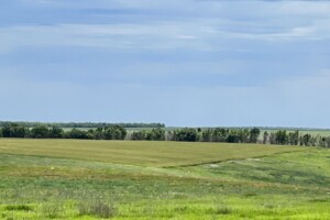 Оренда землі сільськогосподарського призначення в Ширяєві, ціна: 9 520 грн за об’єкт фото 1 Оренда землі сільськогосподарського призначення в Ширяєві, ціна: 9 520 грн за об’єкт фото 1