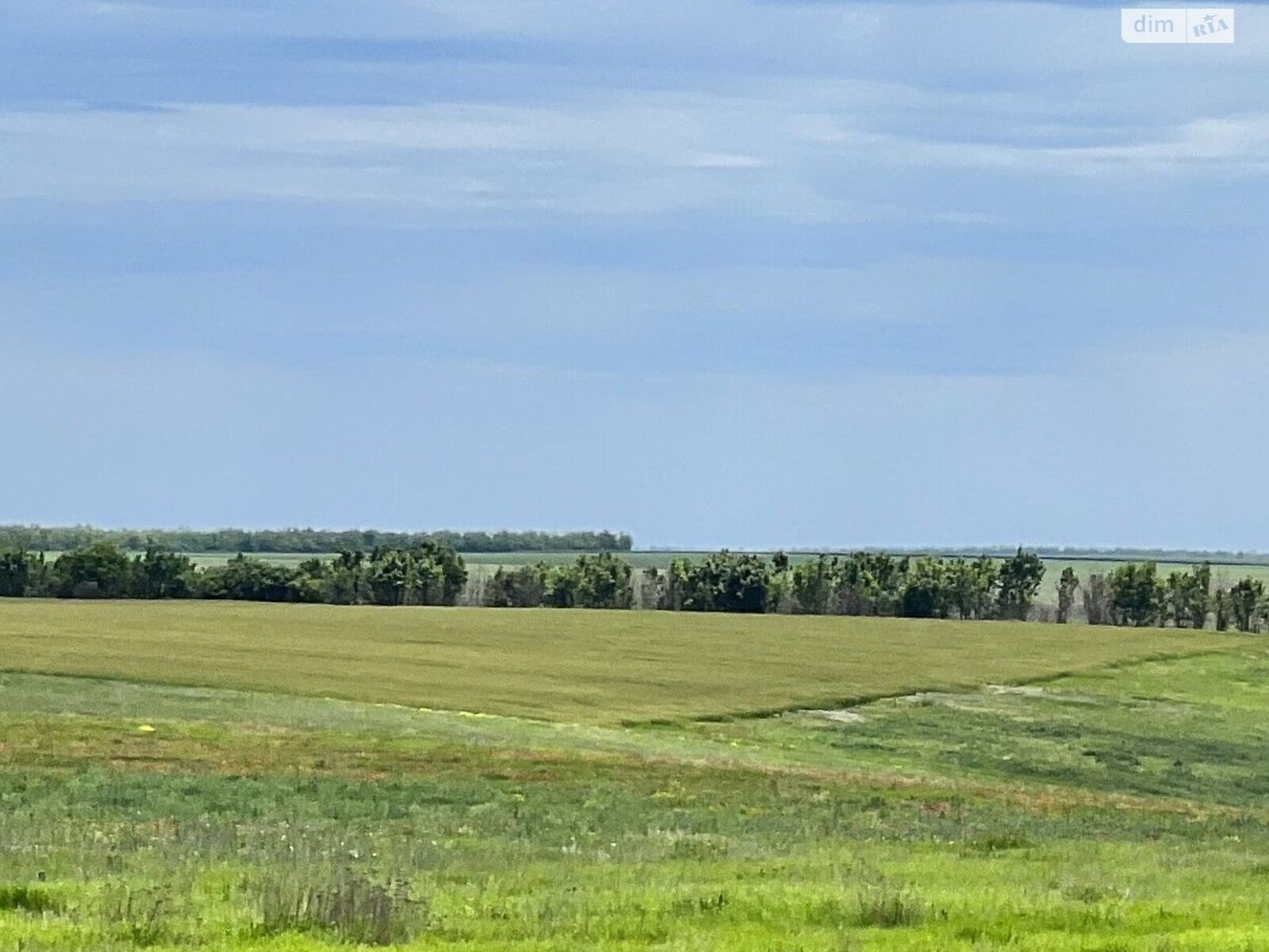 Оренда землі сільськогосподарського призначення в Ширяєві, ціна: 9 520 грн за об’єкт фото 1 Оренда землі сільськогосподарського призначення в Ширяєві, ціна: 9 520 грн за об’єкт фото 1