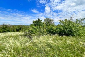 Аренда земли сельскохозяйственного назначения в Ширяеве, цена: 78 616 грн за объект фото 1 Аренда земли сельскохозяйственного назначения в Ширяеве, цена: 78 616 грн за объект фото 1