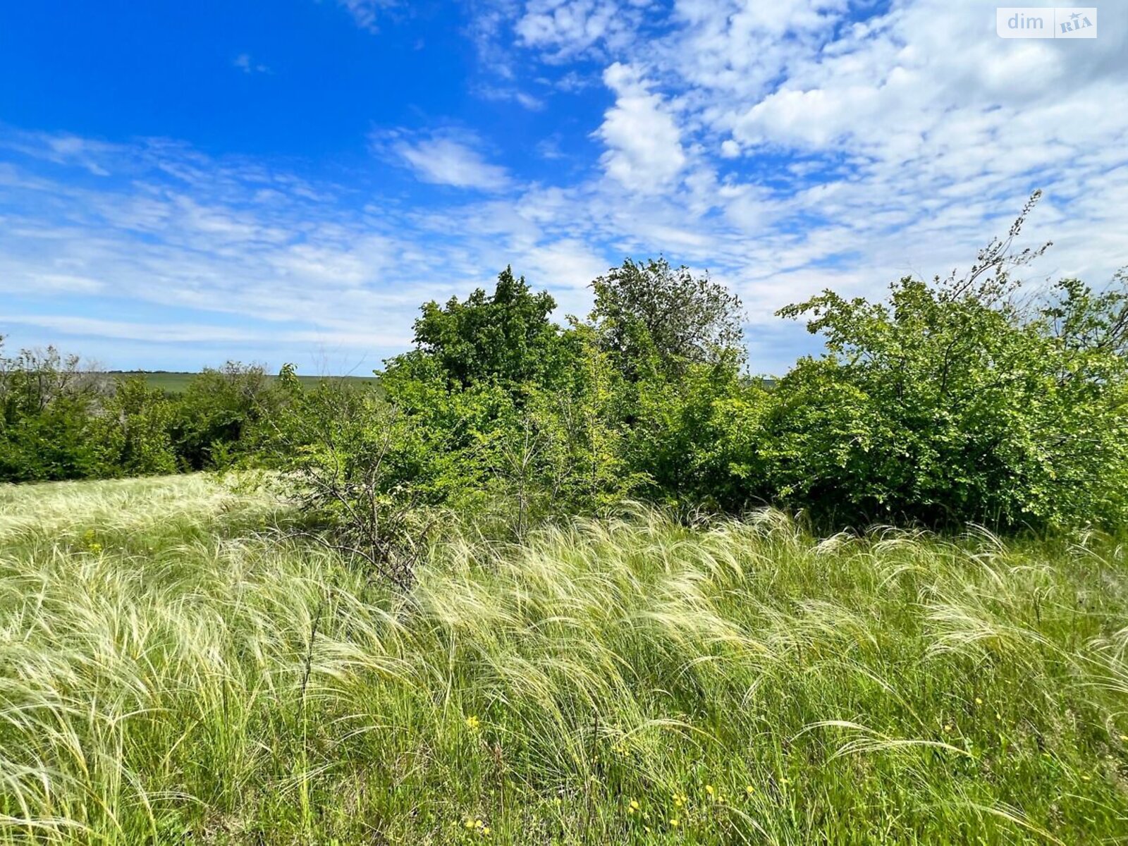 Аренда земли сельскохозяйственного назначения в Ширяеве, цена: 78 616 грн за объект фото 1 Аренда земли сельскохозяйственного назначения в Ширяеве, цена: 78 616 грн за объект фото 1