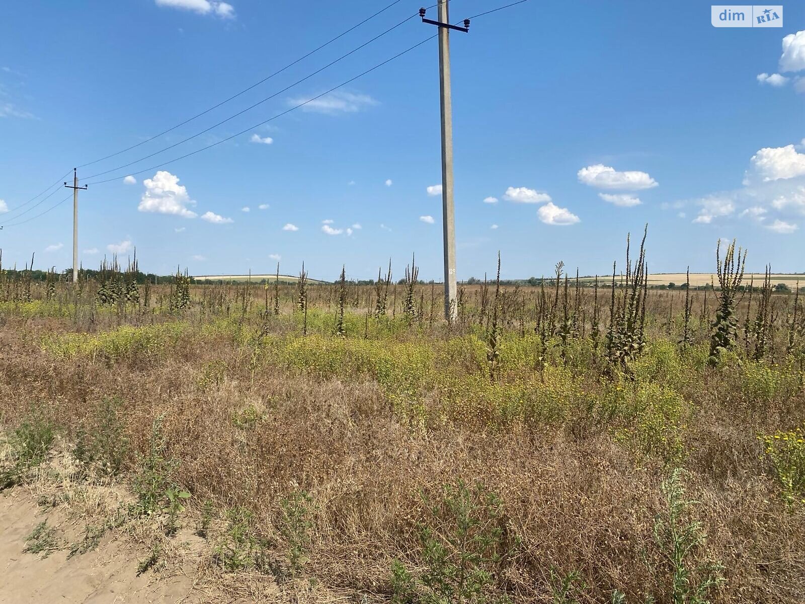 Аренда земли сельскохозяйственного назначения в Ширяеве, цена: 48 523 грн за объект фото 1 Аренда земли сельскохозяйственного назначения в Ширяеве, цена: 48 523 грн за объект фото 1