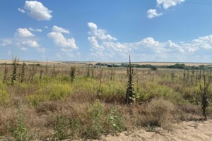 Аренда земли сельскохозяйственного назначения в Ширяеве, цена: 44 062 грн за объект фото 1 Аренда земли сельскохозяйственного назначения в Ширяеве, цена: 44 062 грн за объект фото 1