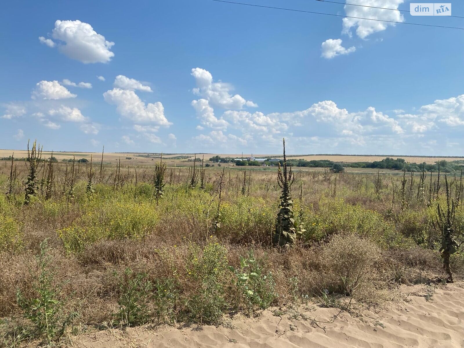 Аренда земли сельскохозяйственного назначения в Ширяеве, цена: 44 062 грн за объект фото 1 Аренда земли сельскохозяйственного назначения в Ширяеве, цена: 44 062 грн за объект фото 1