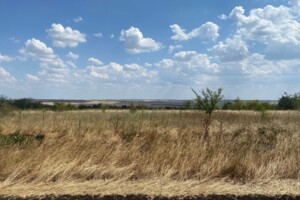 Аренда земли сельскохозяйственного назначения в Ширяеве, цена: 8 446 грн за объект фото 2