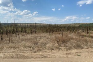 Аренда земли сельскохозяйственного назначения в Ширяеве, цена: 48 523 грн за объект фото 2 Аренда земли сельскохозяйственного назначения в Ширяеве, цена: 48 523 грн за объект фото 2