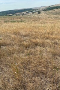 Аренда земли сельскохозяйственного назначения в Ширяеве, цена: 5 286 грн за объект фото 1 Аренда земли сельскохозяйственного назначения в Ширяеве, цена: 5 286 грн за объект фото 1