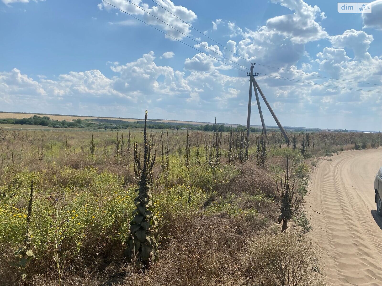 Аренда земли сельскохозяйственного назначения в Ширяеве, цена: 44 062 грн за объект фото 1 Аренда земли сельскохозяйственного назначения в Ширяеве, цена: 44 062 грн за объект фото 1