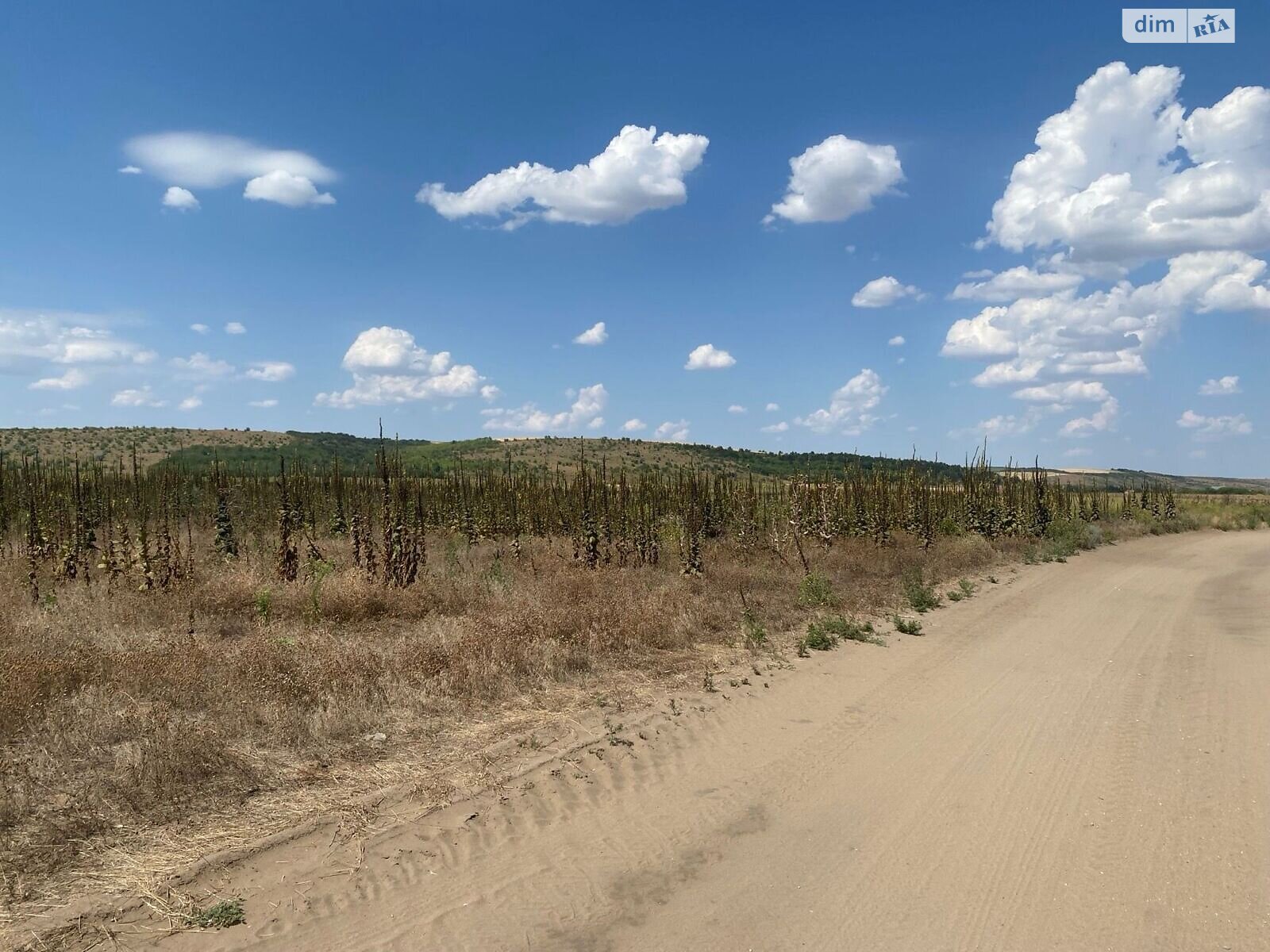 Аренда земли сельскохозяйственного назначения в Ширяеве, цена: 48 523 грн за объект фото 1 Аренда земли сельскохозяйственного назначения в Ширяеве, цена: 48 523 грн за объект фото 1
