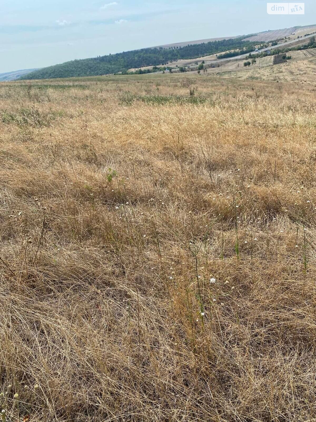 Аренда земли сельскохозяйственного назначения в Ширяеве, цена: 5 286 грн за объект фото 1 Аренда земли сельскохозяйственного назначения в Ширяеве, цена: 5 286 грн за объект фото 1