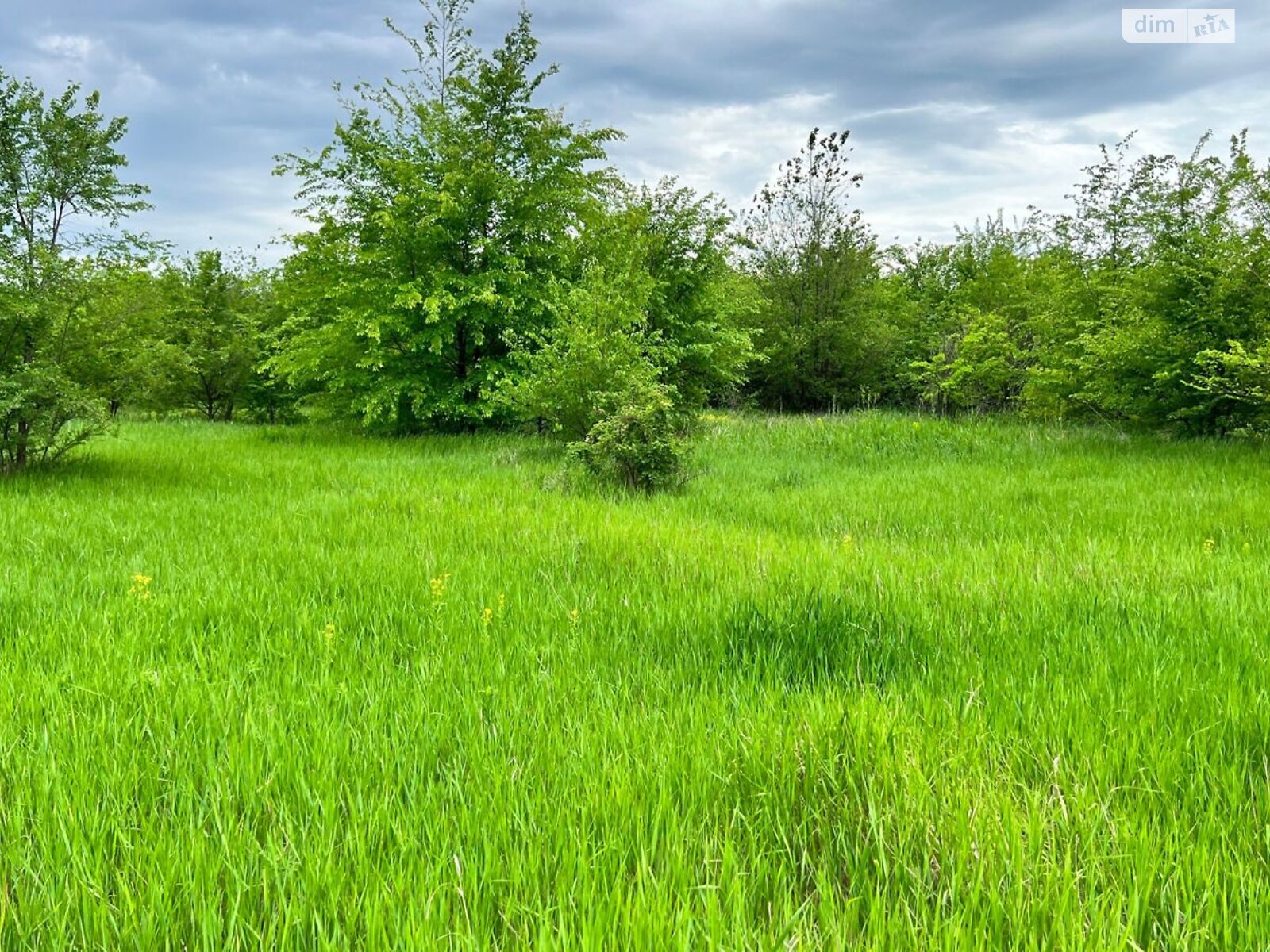 Оренда землі сільськогосподарського призначення в Ширяєві, ціна: 10 466 грн за об’єкт фото 1 Оренда землі сільськогосподарського призначення в Ширяєві, ціна: 10 466 грн за об’єкт фото 1