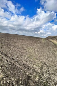 Оренда землі сільськогосподарського призначення в Ширяєві, ціна: 25 397 грн за об’єкт фото 1 Оренда землі сільськогосподарського призначення в Ширяєві, ціна: 25 397 грн за об’єкт фото 1