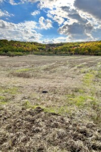 Аренда земли сельскохозяйственного назначения в Ширяеве, цена: 7 283 грн за объект фото 1 Аренда земли сельскохозяйственного назначения в Ширяеве, цена: 7 283 грн за объект фото 1