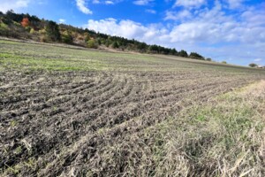 Оренда землі сільськогосподарського призначення в Ширяєві, ціна: 9 286 грн за об’єкт фото 1 Оренда землі сільськогосподарського призначення в Ширяєві, ціна: 9 286 грн за об’єкт фото 1