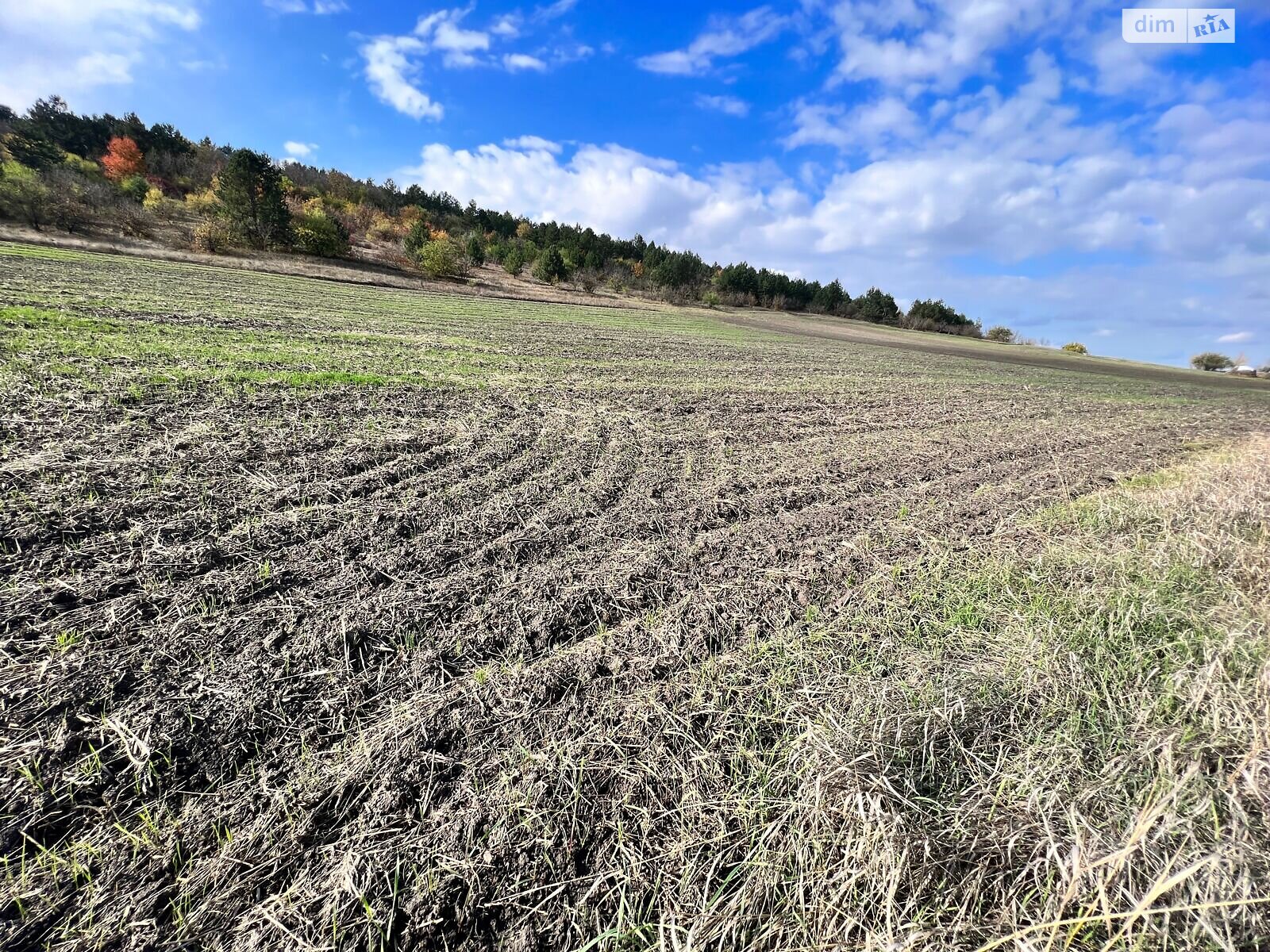Оренда землі сільськогосподарського призначення в Ширяєві, ціна: 9 286 грн за об’єкт фото 1 Оренда землі сільськогосподарського призначення в Ширяєві, ціна: 9 286 грн за об’єкт фото 1