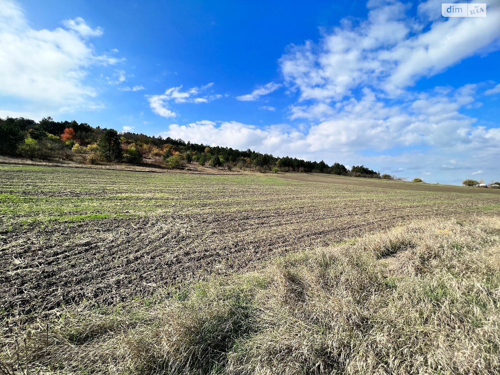 Оренда землі сільськогосподарського призначення в Ширяєві, ціна: 9 286 грн за об’єкт фото 1 Оренда землі сільськогосподарського призначення в Ширяєві, ціна: 9 286 грн за об’єкт фото 1