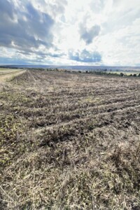 Аренда земли сельскохозяйственного назначения в Ширяеве, цена: 9 881 грн за объект фото 1 Аренда земли сельскохозяйственного назначения в Ширяеве, цена: 9 881 грн за объект фото 1