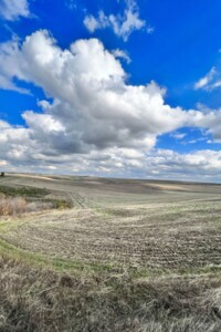 Аренда земли сельскохозяйственного назначения в Ширяеве, цена: 60 079 грн за объект фото 1 Аренда земли сельскохозяйственного назначения в Ширяеве, цена: 60 079 грн за объект фото 1