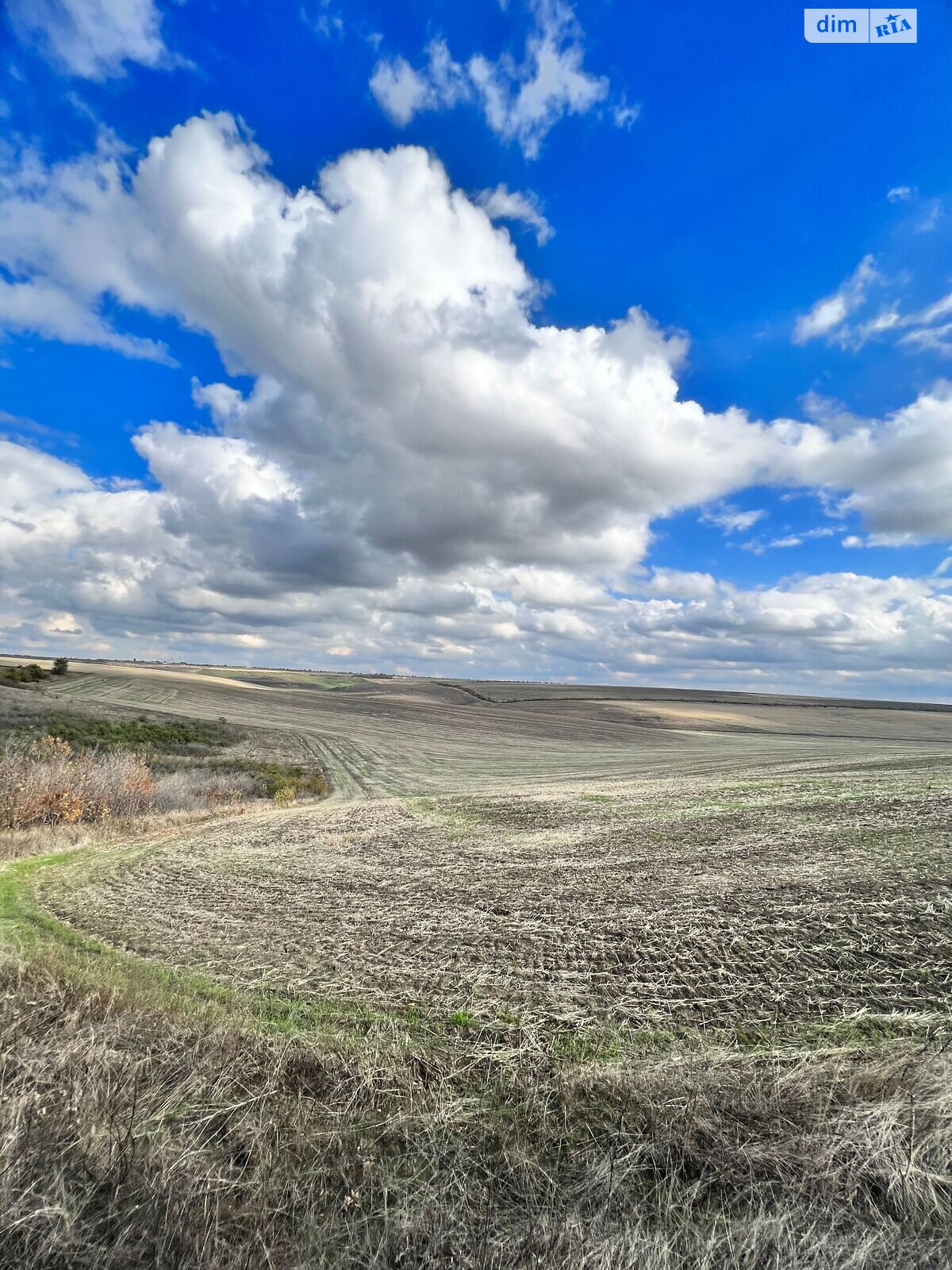 Аренда земли сельскохозяйственного назначения в Ширяеве, цена: 60 079 грн за объект фото 1 Аренда земли сельскохозяйственного назначения в Ширяеве, цена: 60 079 грн за объект фото 1