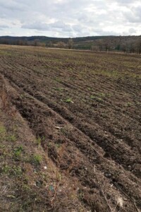 Аренда земли сельскохозяйственного назначения в Ширяеве, цена: 6 026 грн за объект фото 1 Аренда земли сельскохозяйственного назначения в Ширяеве, цена: 6 026 грн за объект фото 1