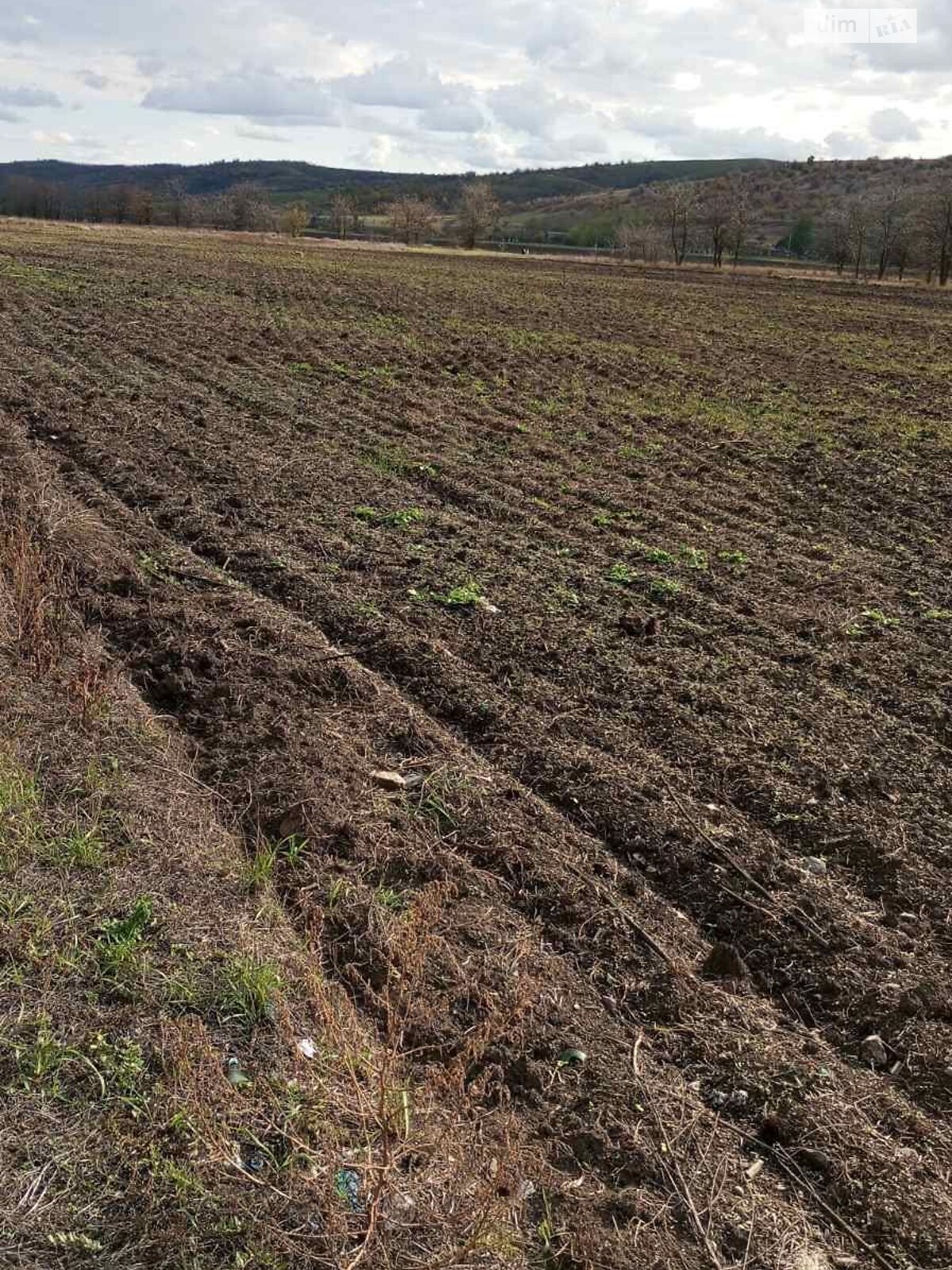 Аренда земли сельскохозяйственного назначения в Ширяеве, цена: 6 026 грн за объект фото 1 Аренда земли сельскохозяйственного назначения в Ширяеве, цена: 6 026 грн за объект фото 1
