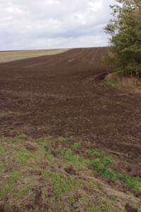 Аренда земли сельскохозяйственного назначения в Ширяеве, цена: 14 961 грн за объект фото 1 Аренда земли сельскохозяйственного назначения в Ширяеве, цена: 14 961 грн за объект фото 1