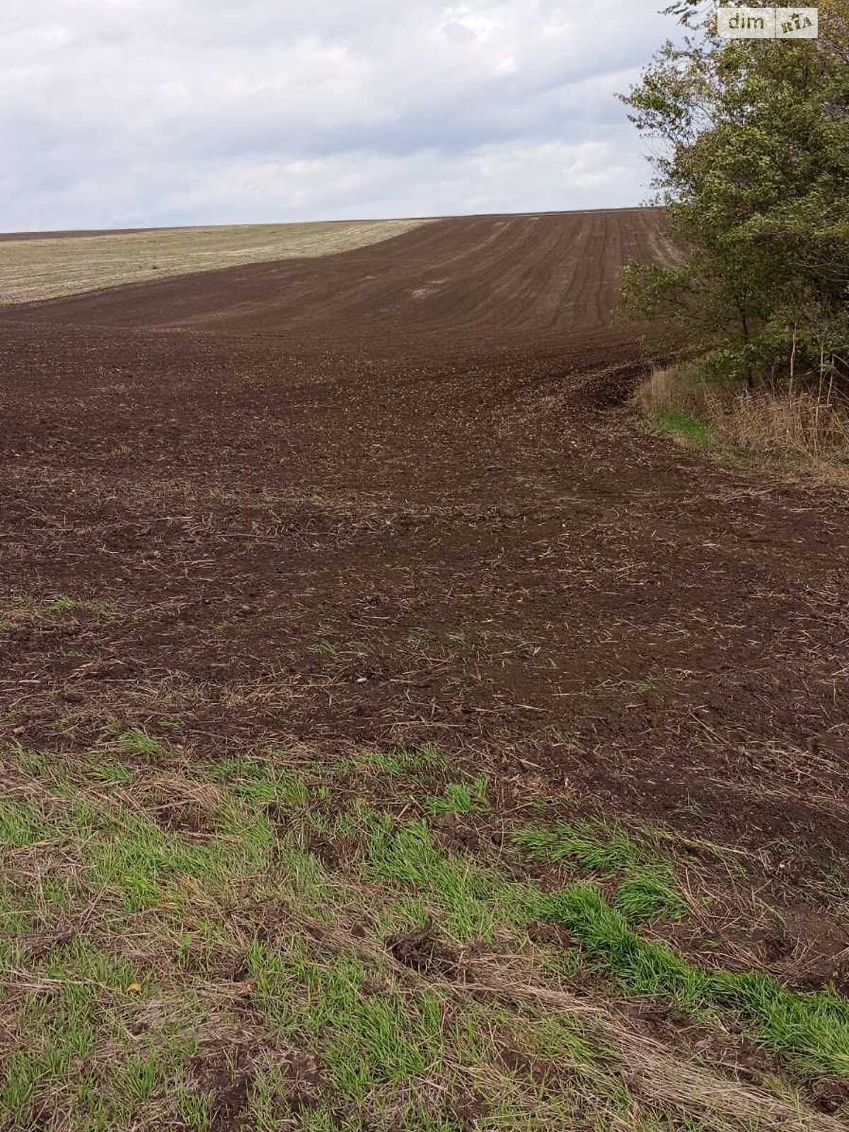Аренда земли сельскохозяйственного назначения в Ширяеве, цена: 14 961 грн за объект фото 1 Аренда земли сельскохозяйственного назначения в Ширяеве, цена: 14 961 грн за объект фото 1