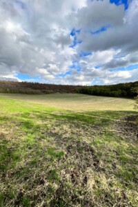 Аренда земли сельскохозяйственного назначения в Ширяеве, цена: 13 774 грн за объект фото 1 Аренда земли сельскохозяйственного назначения в Ширяеве, цена: 13 774 грн за объект фото 1