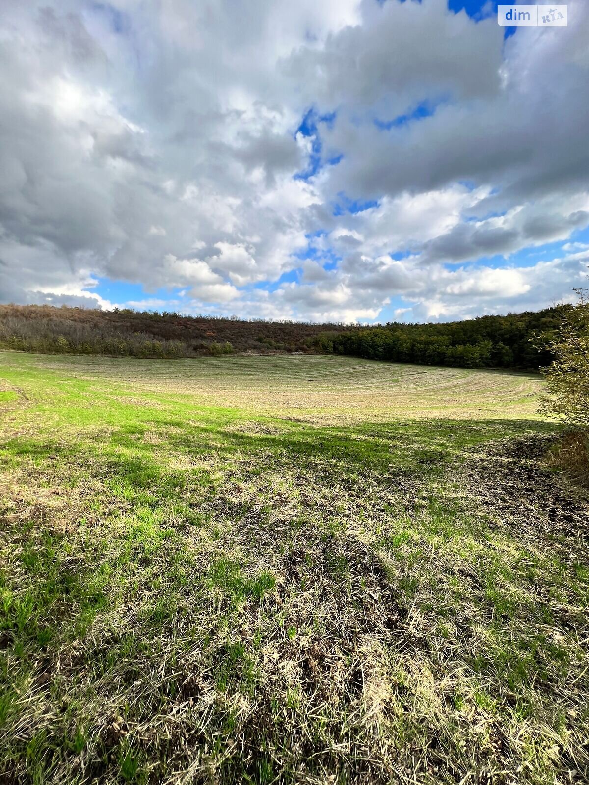 Аренда земли сельскохозяйственного назначения в Ширяеве, цена: 13 774 грн за объект фото 1 Аренда земли сельскохозяйственного назначения в Ширяеве, цена: 13 774 грн за объект фото 1