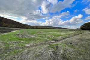 Аренда земли сельскохозяйственного назначения в Ширяеве, цена: 18 418 грн за объект фото 1 Аренда земли сельскохозяйственного назначения в Ширяеве, цена: 18 418 грн за объект фото 1